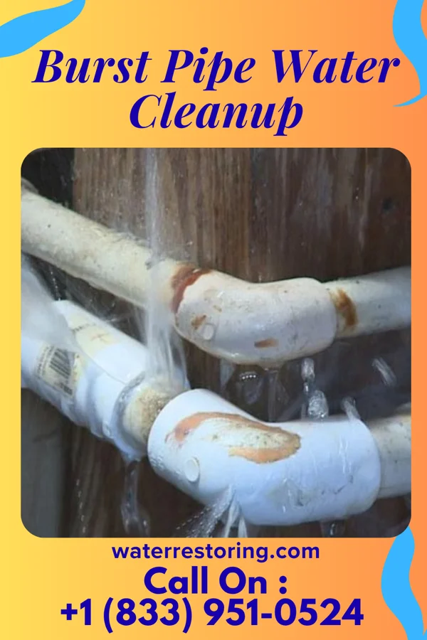 Burst Pipe Water Cleanup in Stateburg, SC