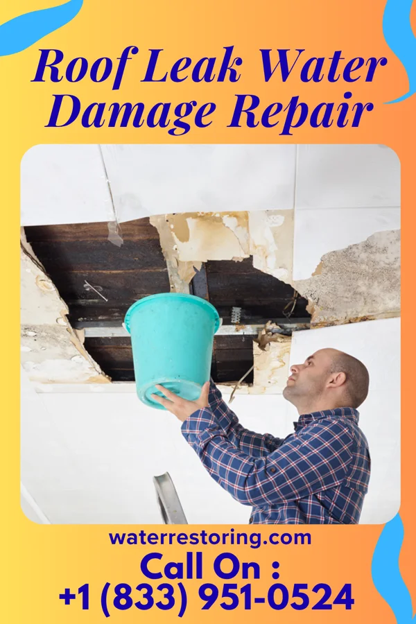 Roof Leak Water Damage Repair in Stateburg, SC