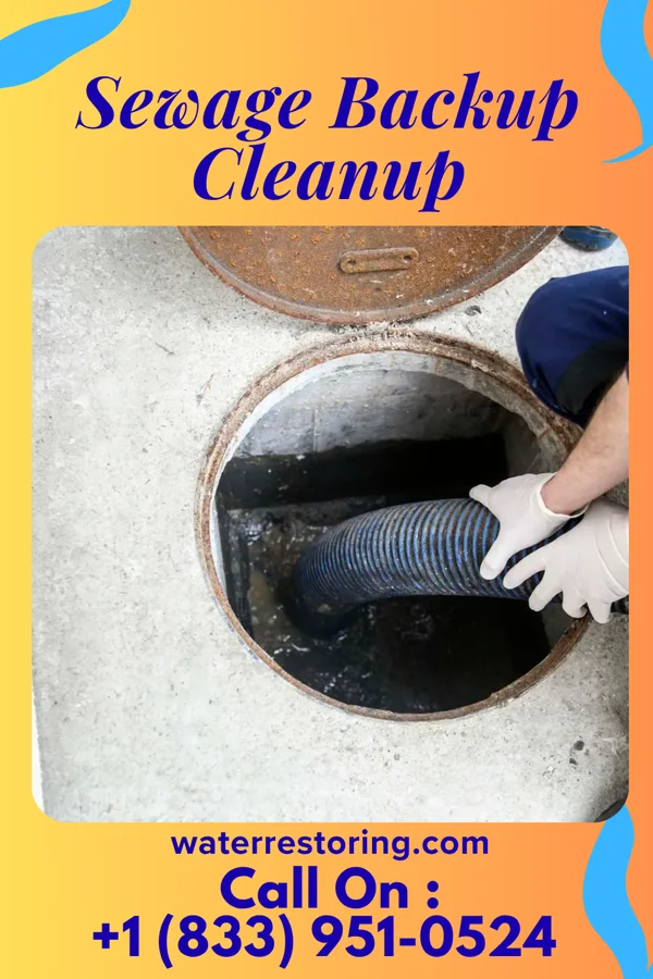 Sewage Backup Cleanup in Stateburg, SC