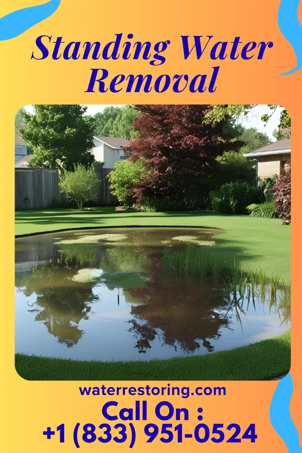 Standing Water Removal in Stateburg, SC